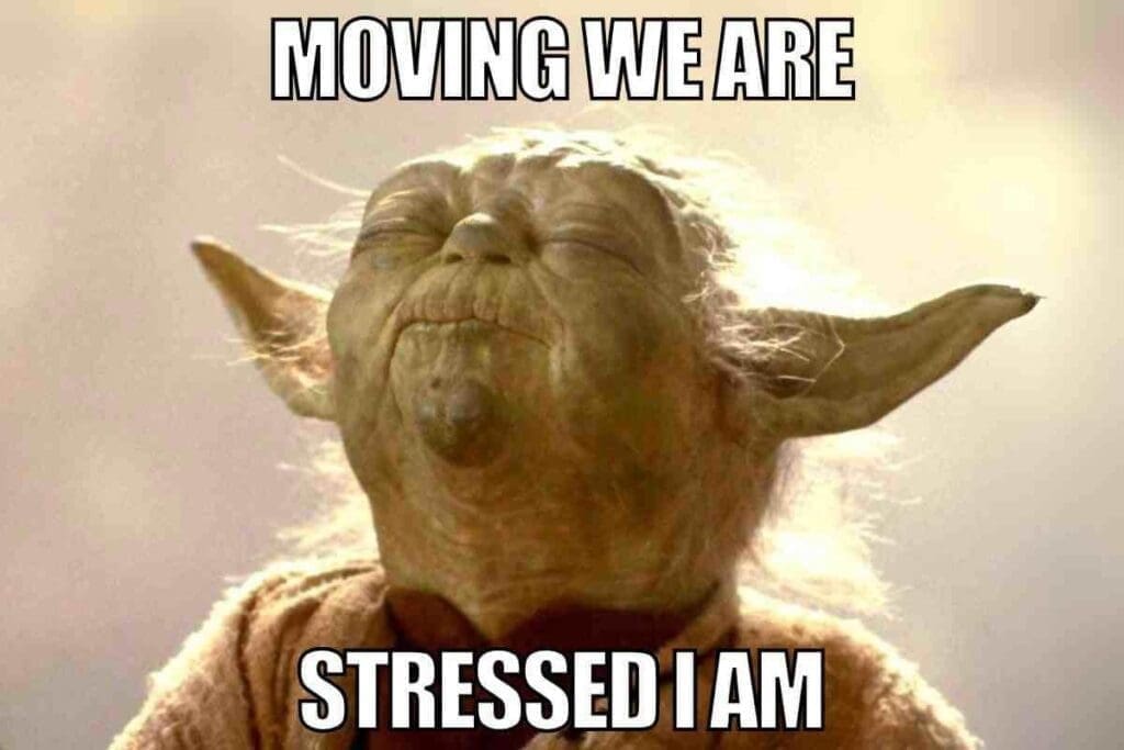 funny-moving-meme courtesy of Digital Mom Blog