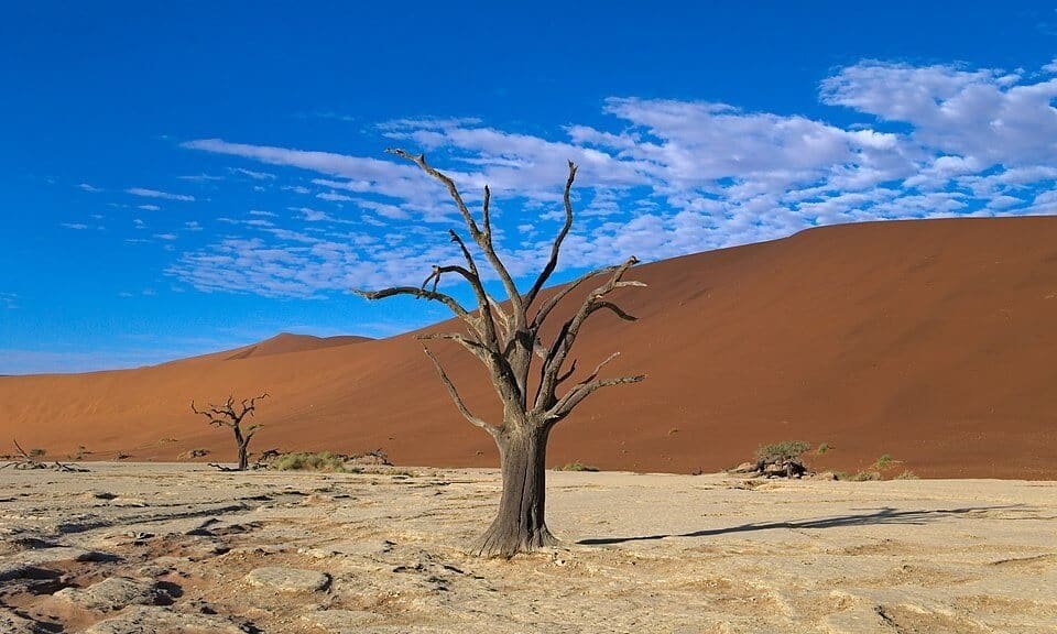 Deadvlei, Namibia
