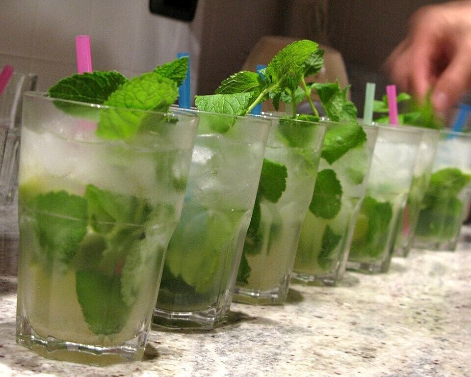 The Mojito