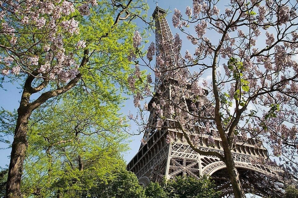 The Eiffel Tower, Paris 
