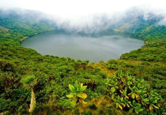 Gahinga - Volcanoes National Park - Rwanda