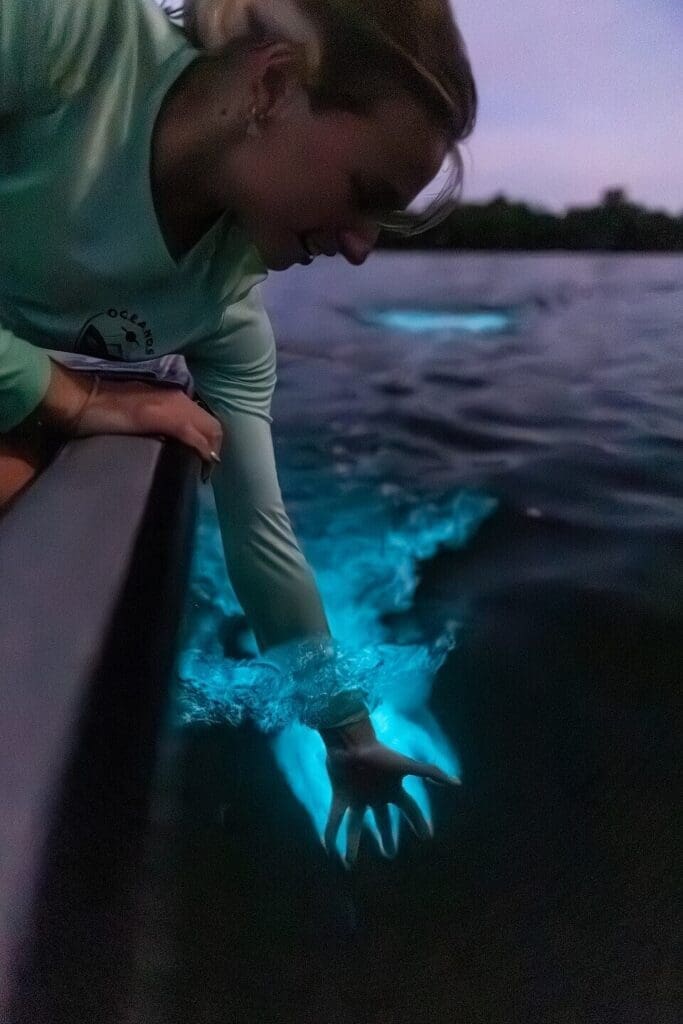 Puerto Rico's Bioluminescent Bays at Night