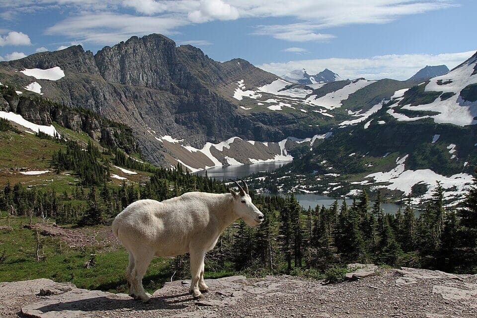 Glaciers of Glacier National Park, Montana