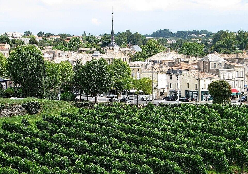 Bordeaux Wine from Centuries-Old Vineyards, France