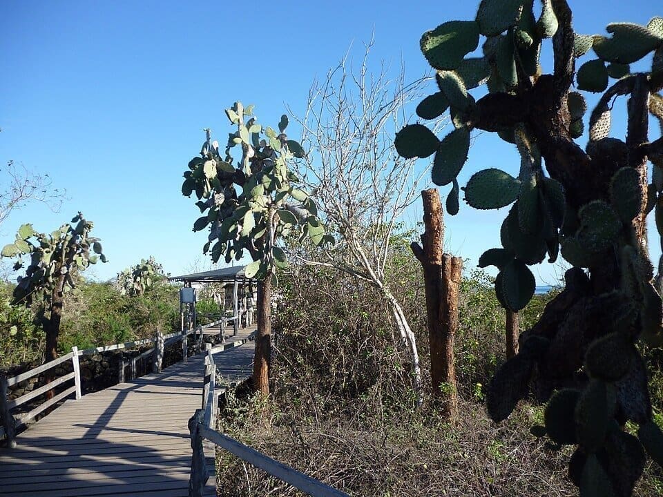 Darwin's Trail in the Galápagos, Ecuador