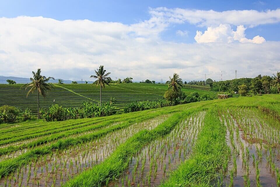 Indonesia