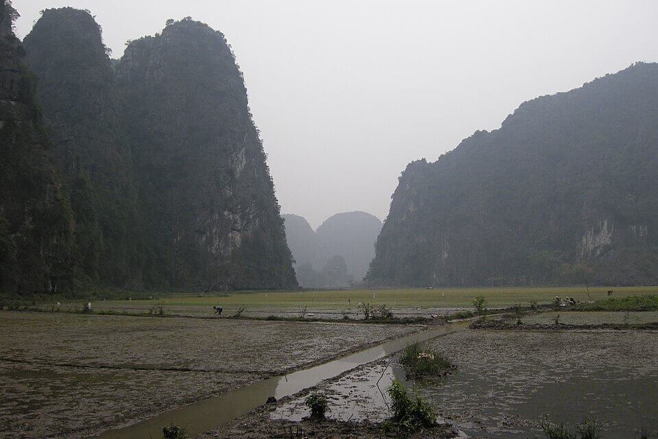 Vietnam